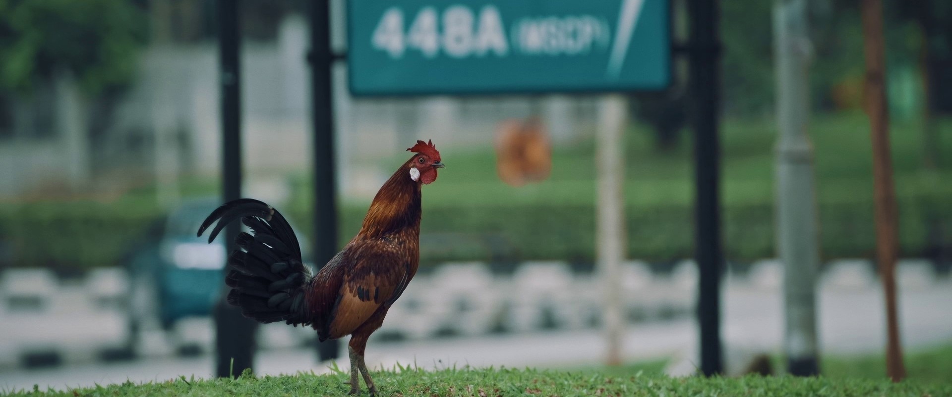 Film still of '36 Ways to Say Good Morning' (2018)